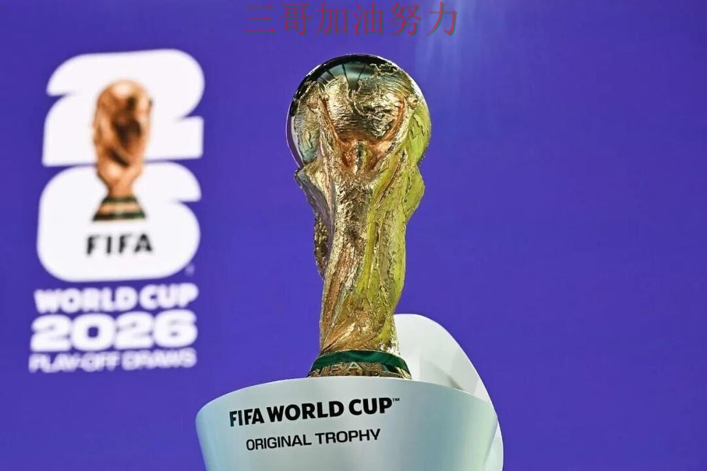 揭秘世界杯买球平台：从玩法指南到直播观看全流程解析 - 2026世界杯